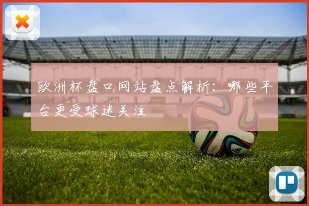 欧洲杯盘口网站盘点解析：哪些平台更受球迷关注