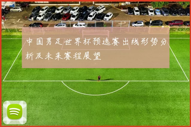 中国男足世界杯预选赛出线形势分析及未来赛程展望