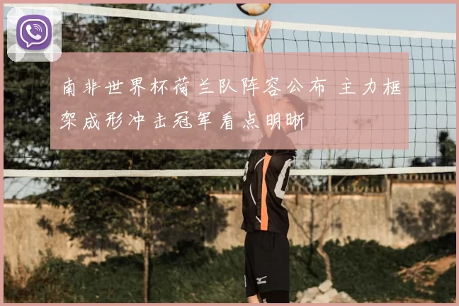 南非世界杯荷兰队阵容公布 主力框架成形冲击冠军看点明晰