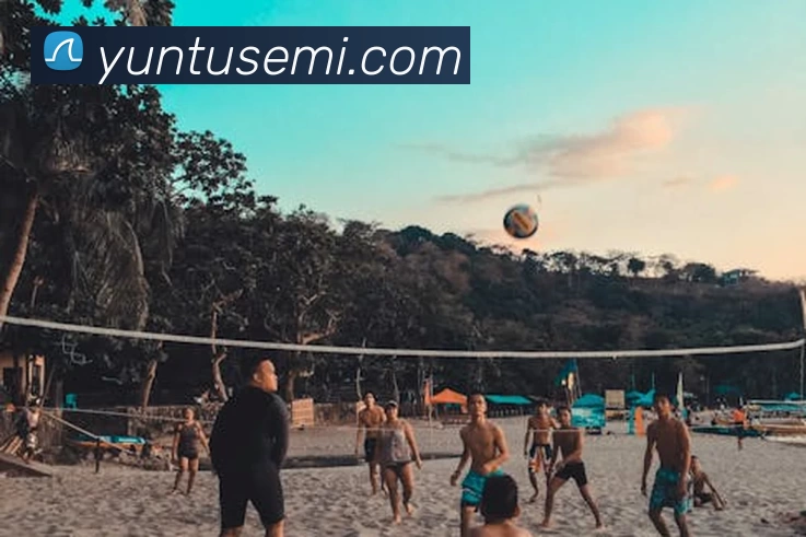 mksports官方网站服务体系